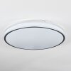 Arima Plafones LED Gris, Blanca, 1 luz