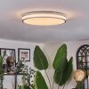 Arima Plafones LED Gris, Blanca, 1 luz