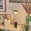 Eryon Lámparas de escritorio, Lámparas de mesa LED Negro, Blanca, 1 luz