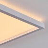 Xarel Plafones, Panel LED Blanca, 1 luz