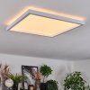 Xarel Plafones, Panel LED Blanca, 1 luz