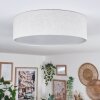 Antillo Plafones Blanca, 3 luces