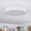 Antillo Plafones Blanca, 3 luces