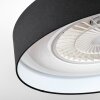 Benesal Plafones, lámpara ventilador de techo LED Blanca, 1 luz, Mando a distancia