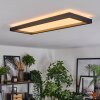 Binor Plafones LED Blanca, 1 luz