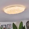 Arzel Plafones LED Blanca, 1 luz