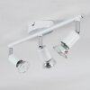 Gjedso Plafones, Spot techo LED Cromo, Blanca, 3 luces