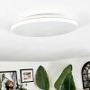 Borel Plafones LED Blanca, 1 luz