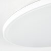 Borel Plafones LED Blanca, 1 luz