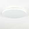 Borel Plafones LED Blanca, 1 luz