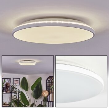 Borel Plafones LED Blanca, 1 luz