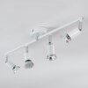 Gjedso Plafones, Spot techo LED Cromo, Blanca, 4 luces