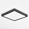 Finsrud Plafones, Panel LED Negro, 1 luz