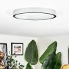 Kelan Plafones LED Plata, 1 luz