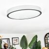 Kelan Plafones LED Plata, 1 luz