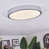 Kelan Plafones LED Plata, 1 luz