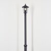 Loria Candelabro, Iluminación de caminos Negro, 1 luz