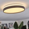 Sofo Plafones, Panel LED Blanca, 1 luz, Mando a distancia