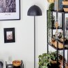 Lámpara Champiñón  Tati Lámpara de pie, Spot de pared Madera oscura, Negro, 4 luces