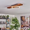 Pompu Lámpara de pie, Lámparas de mesa LED Antracita, 4 luces