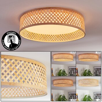 Barroco Plafones LED Crudo, Blanca, 1 luz