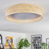 Barroco Plafones LED Crudo, Blanca, 1 luz