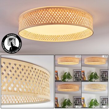 Barroco Plafones LED Crudo, Blanca, 1 luz