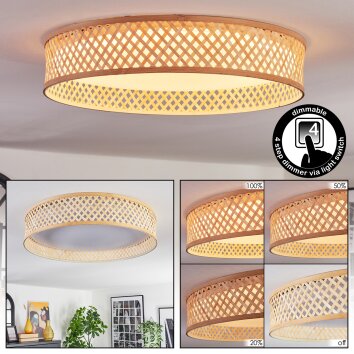 Barroco Plafones LED Crudo, 1 luz