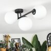 Chehalis Plafones Blanca, 3 luces