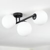 Chehalis Plafones Blanca, 3 luces