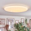 Junor Plafones LED Blanca, 1 luz, Mando a distancia