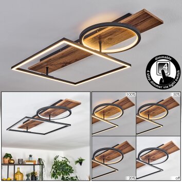 Pompu Plafones LED Marrón, Color madera, Negro, 1 luz