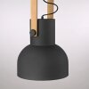 Lámparas Leuchten Direkt 2.0 Lámparas colgantes LED Marrón, Negro, 1 luz