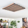 Tandragee Plafones, Panel LED Color madera, Negro, 1 luz