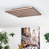 Tandragee Plafones, Panel LED Color madera, Negro, 1 luz